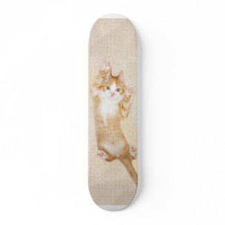 Happy kitty skateboard skateboard