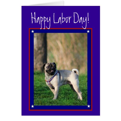 patriotic pug happy labor day patriotic pug greeting card zazzle patriotic pug happy labor day patriotic pug greeting card zazzle