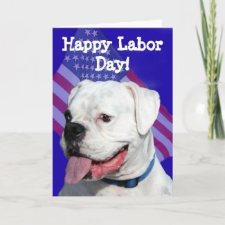 Happy Labor Day white boxer greeting card card