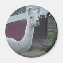 Happy Llama Fridge Magnets