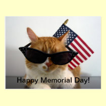 Happy Memorial Day Cool Cat with Flag Postcard postcards