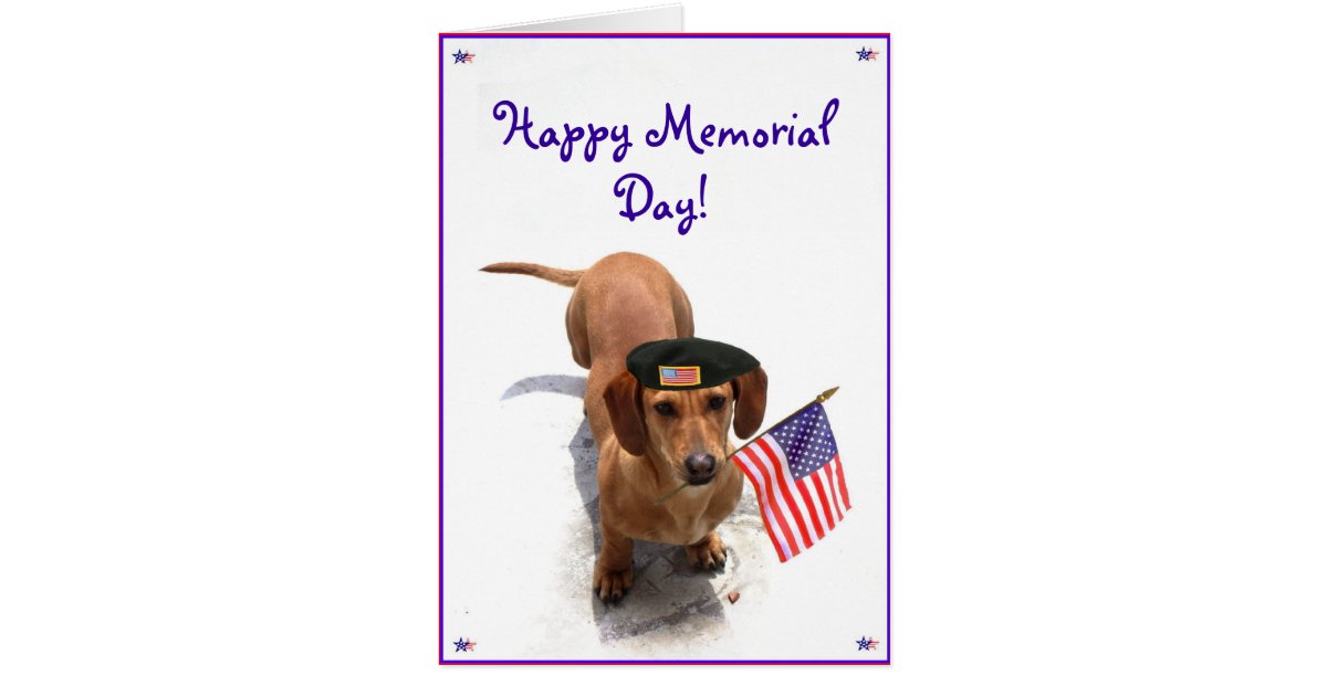Happy Memorial day Dachshund greeting card | Zazzle