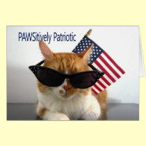 Happy Memorial Day - PAWSitively Patriotic Cat cards