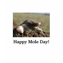 Happy Mole Day! t-shirts by behaviorspecialist Happy Mole Day! t-shirts