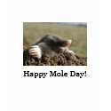 Happy Mole Day! shirt