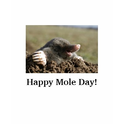 Happy Mole Day! T Shirt by behaviorspecialist