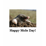 Happy Mole Day! t-shirts