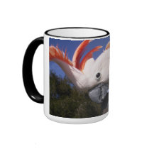 Happy Moluccan mugs by hbremen Happy Moluccan mugs