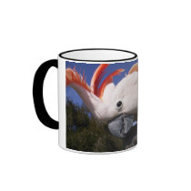 Happy Moluccan Coffee Mugs