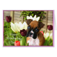Happy Mother-in-law day boxer greeting card