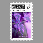 Happy Mother´s Day stamps