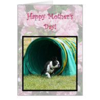 Happy Mother's Day Agility Boston Terrier card