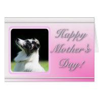 Happy Mother's Day Australian Shepherd card