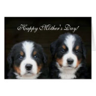 Happy Mother's Day Bernese Puppies greeting card