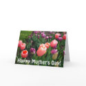 Happy Mother's Day! Blank cards