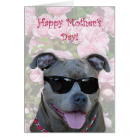 Happy Mother's Day Blue pitbull with glasses Greeting Cards