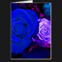 Happy Mother's Day Blue Purple Rose II cards by Yve_13 Happy Mother's Day Blue Purple Rose II cards