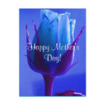 Happy Mother's Day Blue Rose postcards