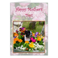 Happy Mother's day Boston Terrier greeting card