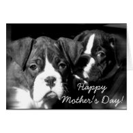 Happy Mother's Day Boxer puppies greeting card