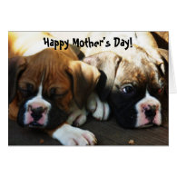 Happy Mother's Day Boxer puppies greeting card