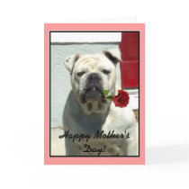Happy Mother's Day bulldog greeting card