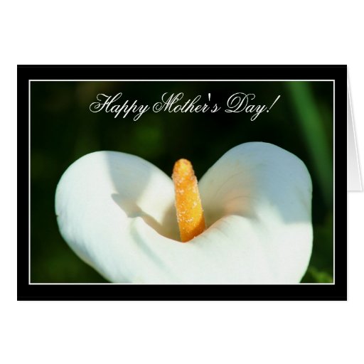 Happy Mother's Day Calla Lily greeting card Zazzle
