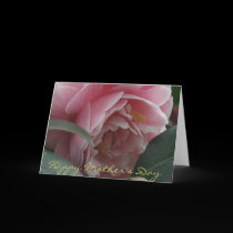 Happy Mother's Day cards
