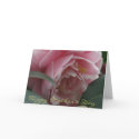 Happy Mother's Day cards by jereeb Happy Mother's Day cards