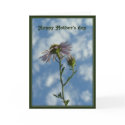 Happy Mother's day card