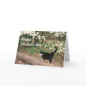 Happy Mother's Day! cards by RhoseZazzle Happy Mother's Day! cards