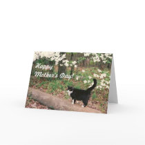 Happy Mother's Day! cards by RhoseZazzle Happy Mother's Day! cards