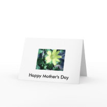 Happy Mother's Day cards by newfront Happy Mother's Day cards
