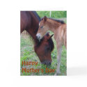 Happy Mother's  Day Card