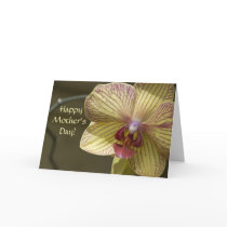 Happy Mother's Day cards