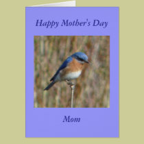 Happy Mother's Day cards