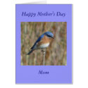 Happy Mother's Day cards