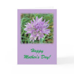 Happy Mother's Day Cards