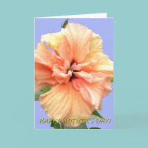 HAPPY MOTHER'S DAY cards