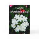 Happy Mother's Day! cards by princessklb07 Happy Mother's Day! cards