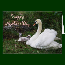 Happy Mother's Day Card