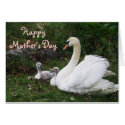 Happy Mother's Day Card