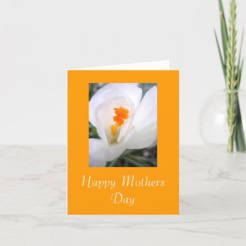 Happy Mothers Day Card