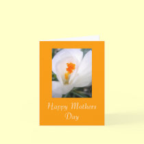 Happy Mothers Day cards