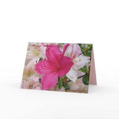 Happy Mother's Day Cards by vitaliy
