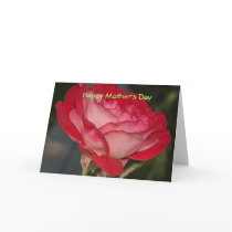 Happy Mother's Day Greeting Cards