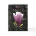 Happy Mother's Day! cards