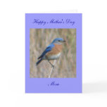 Happy Mother's Day Greeting Card