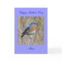 Happy Mother's Day cards
