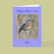 Happy Mother's Day cards